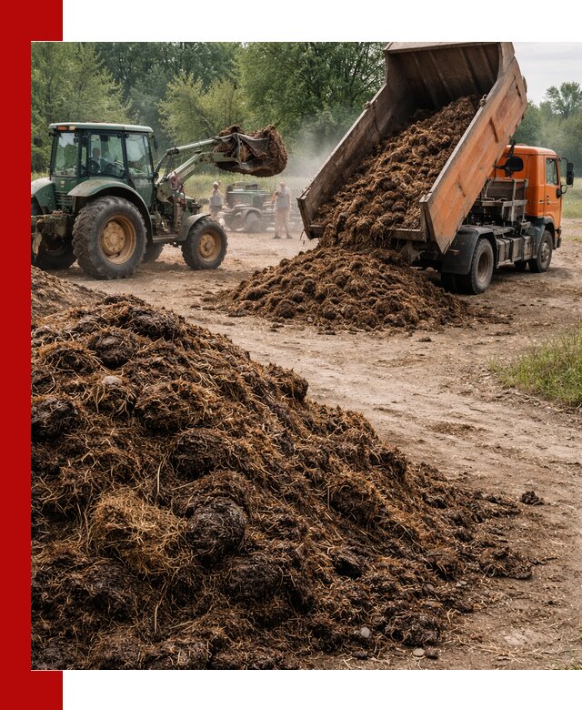 Доставка навоза самосвалами в Северодвинске для сельхозпотребностей