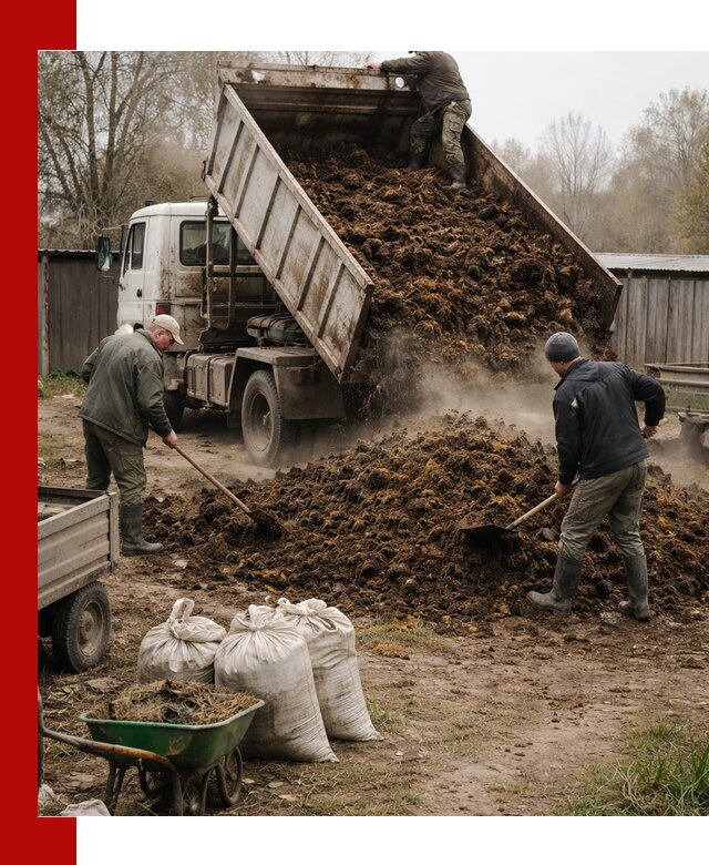 Доставка коровьего навоза самосвалом в Северодвинске